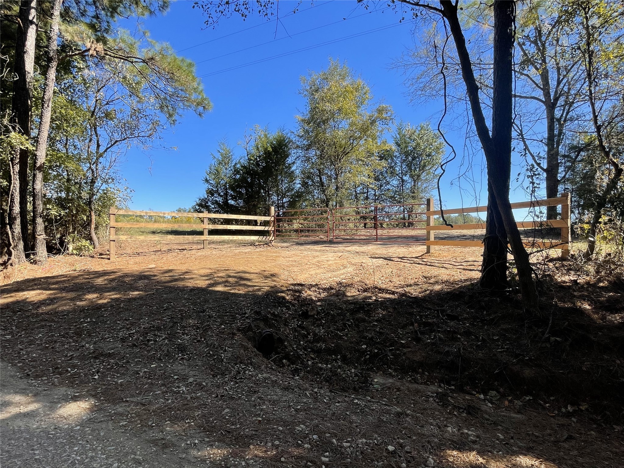 Tbd-c County Road 4653 Tenaha TX 75974