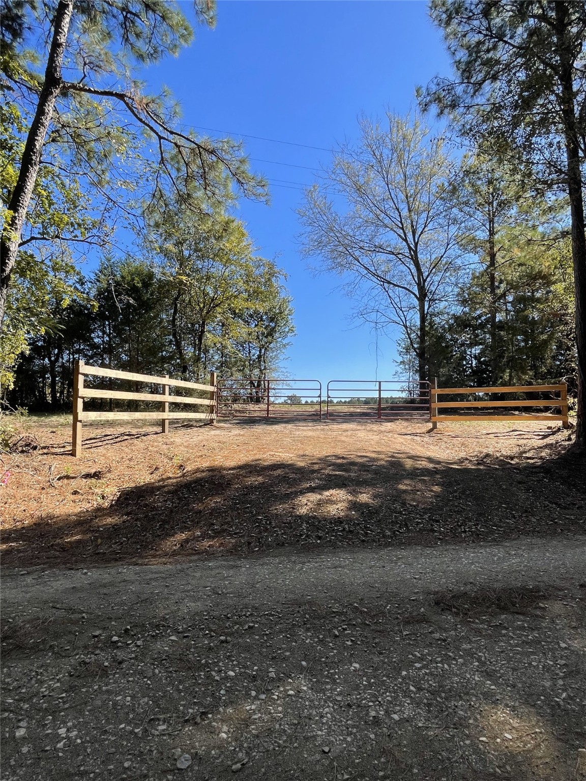 Tbd-c County Road 4653 Tenaha TX 75974