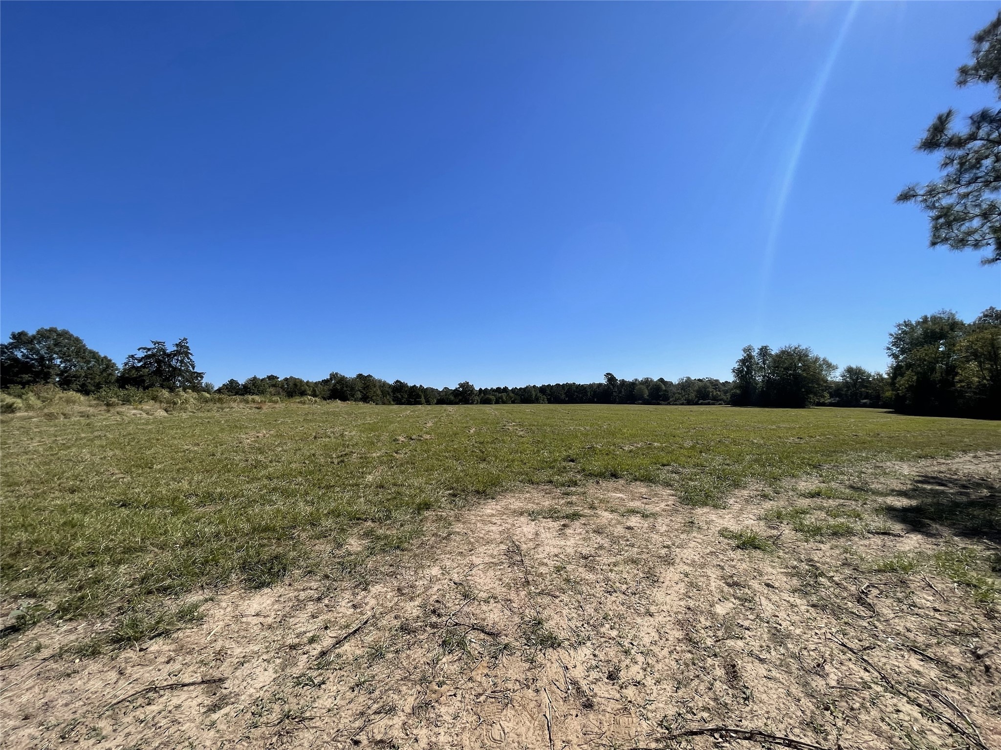 Tbd-c County Road 4653 Tenaha TX 75974