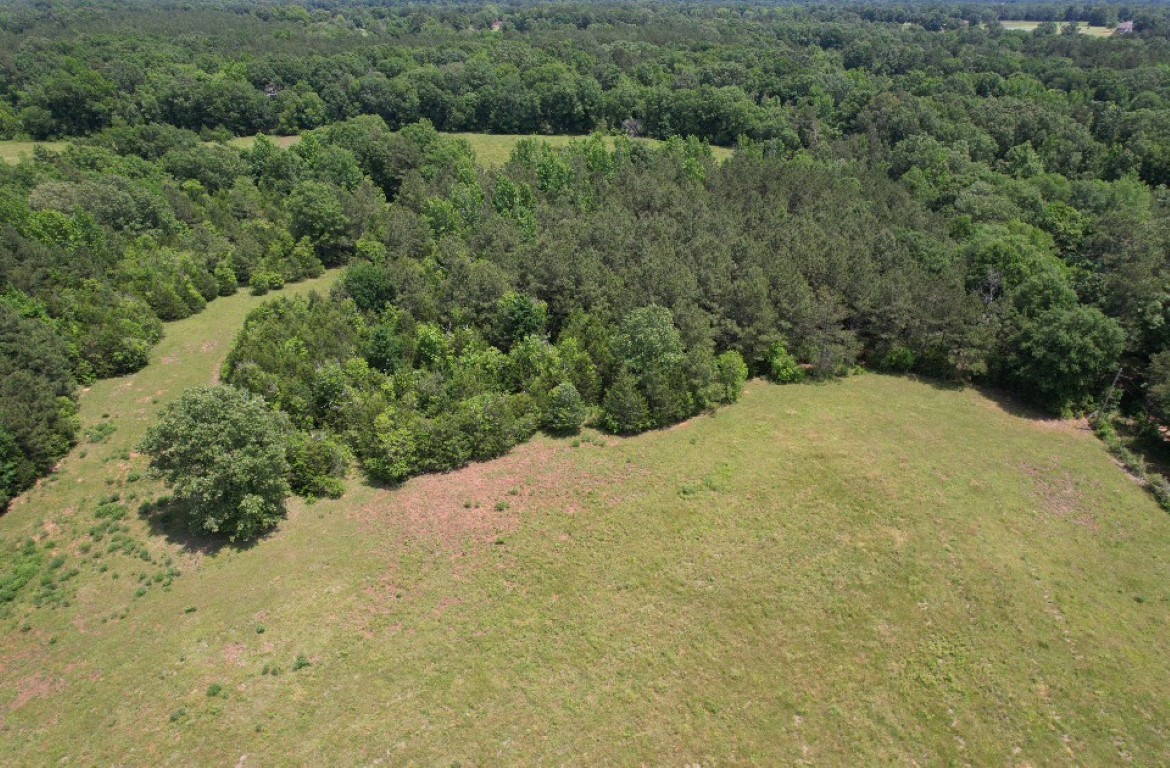 Tbd-c County Road 4653 Tenaha TX 75974