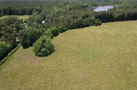Tbd-c County Road 4653 Tenaha TX 75974