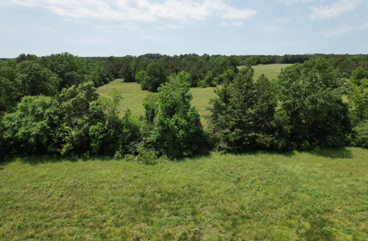 Tbd-c County Road 4653 Tenaha TX 75974