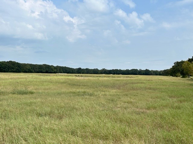 Tbd Cr 1148 Cumby TX 75433