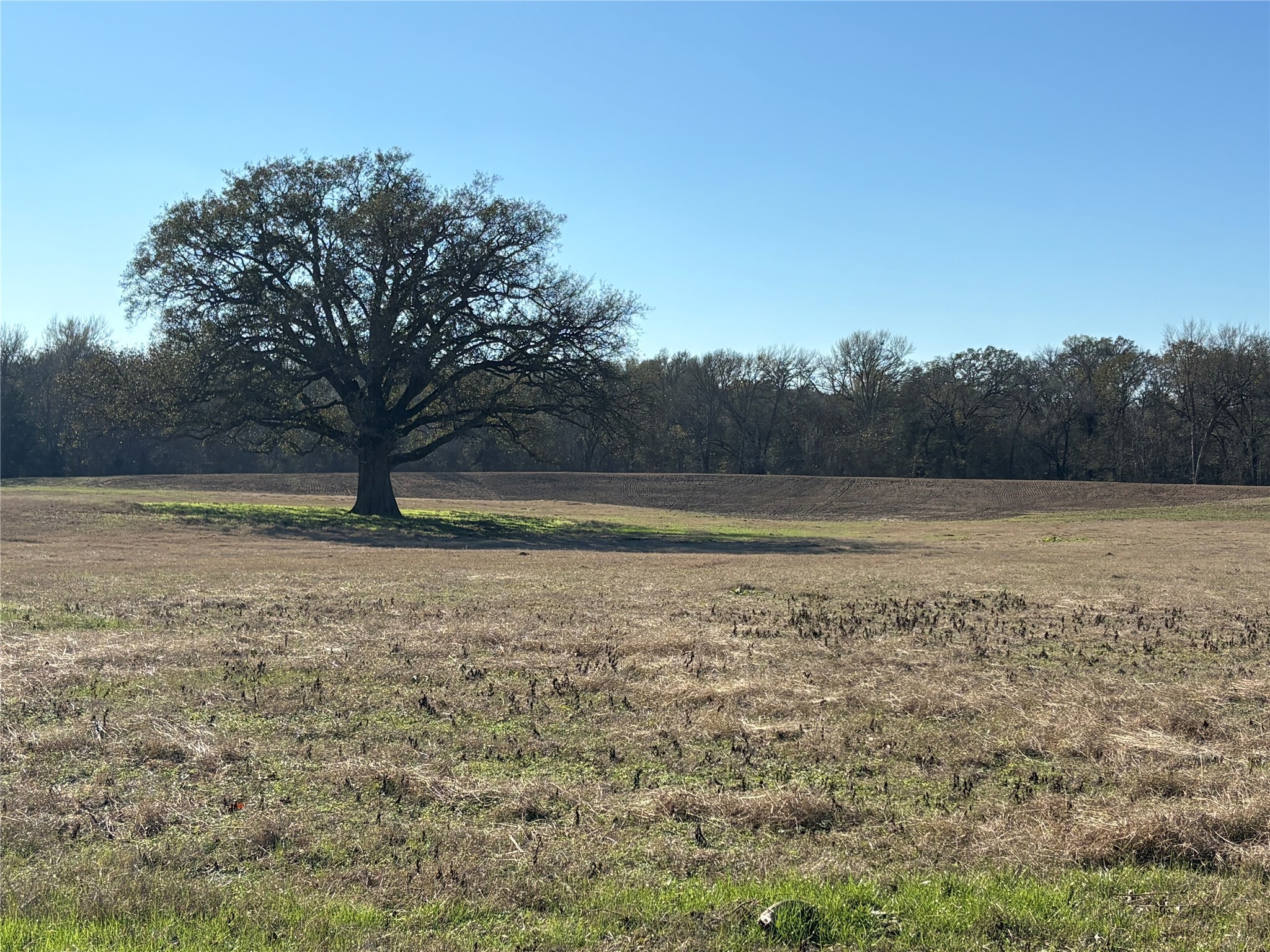 Tbd Cr 1148 Cumby TX 75433