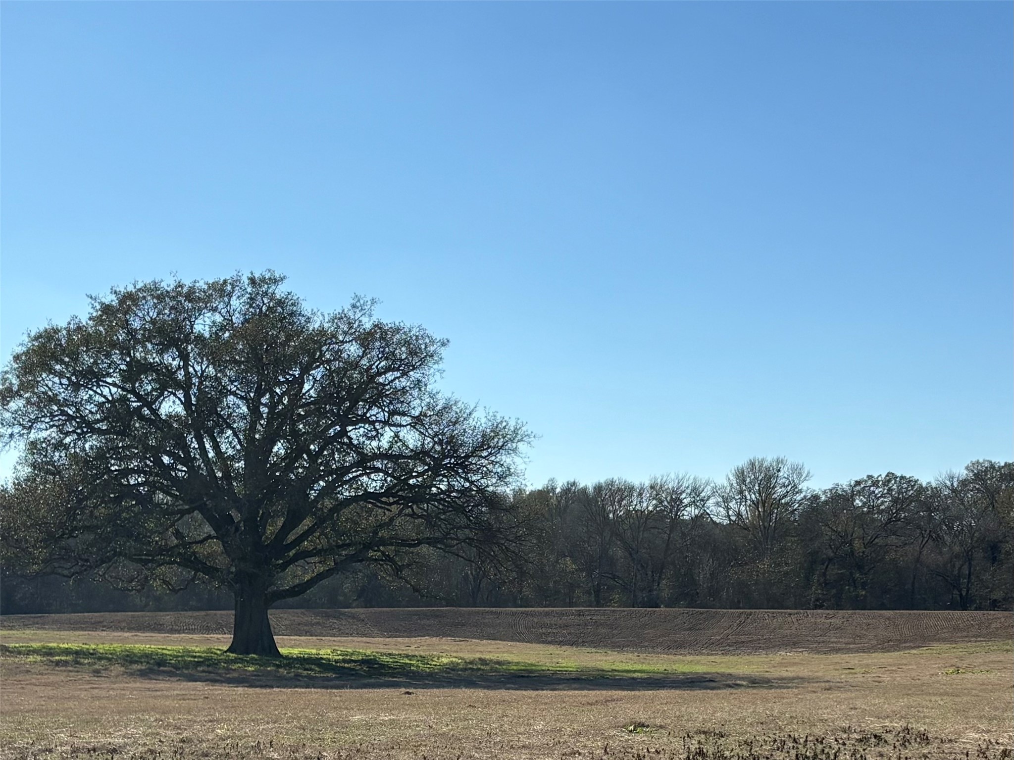 Tbd Cr 1148 Cumby TX 75433