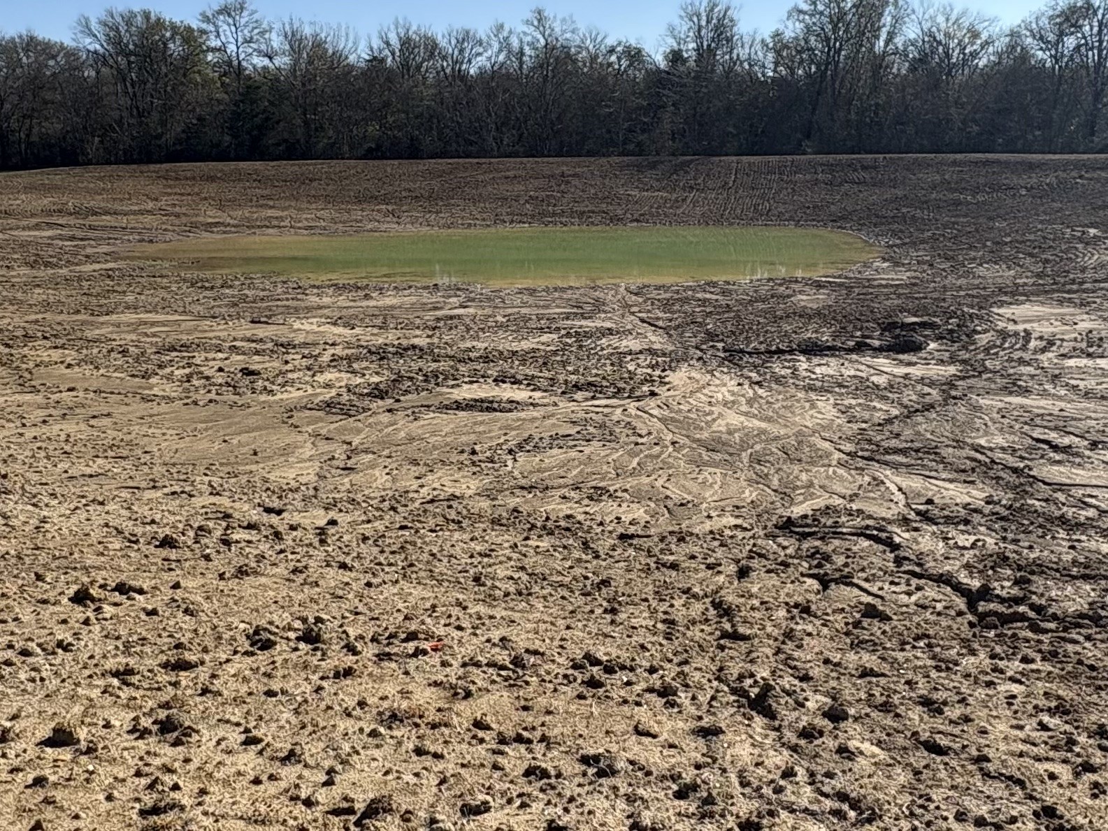Tbd Cr 1148 Cumby TX 75433