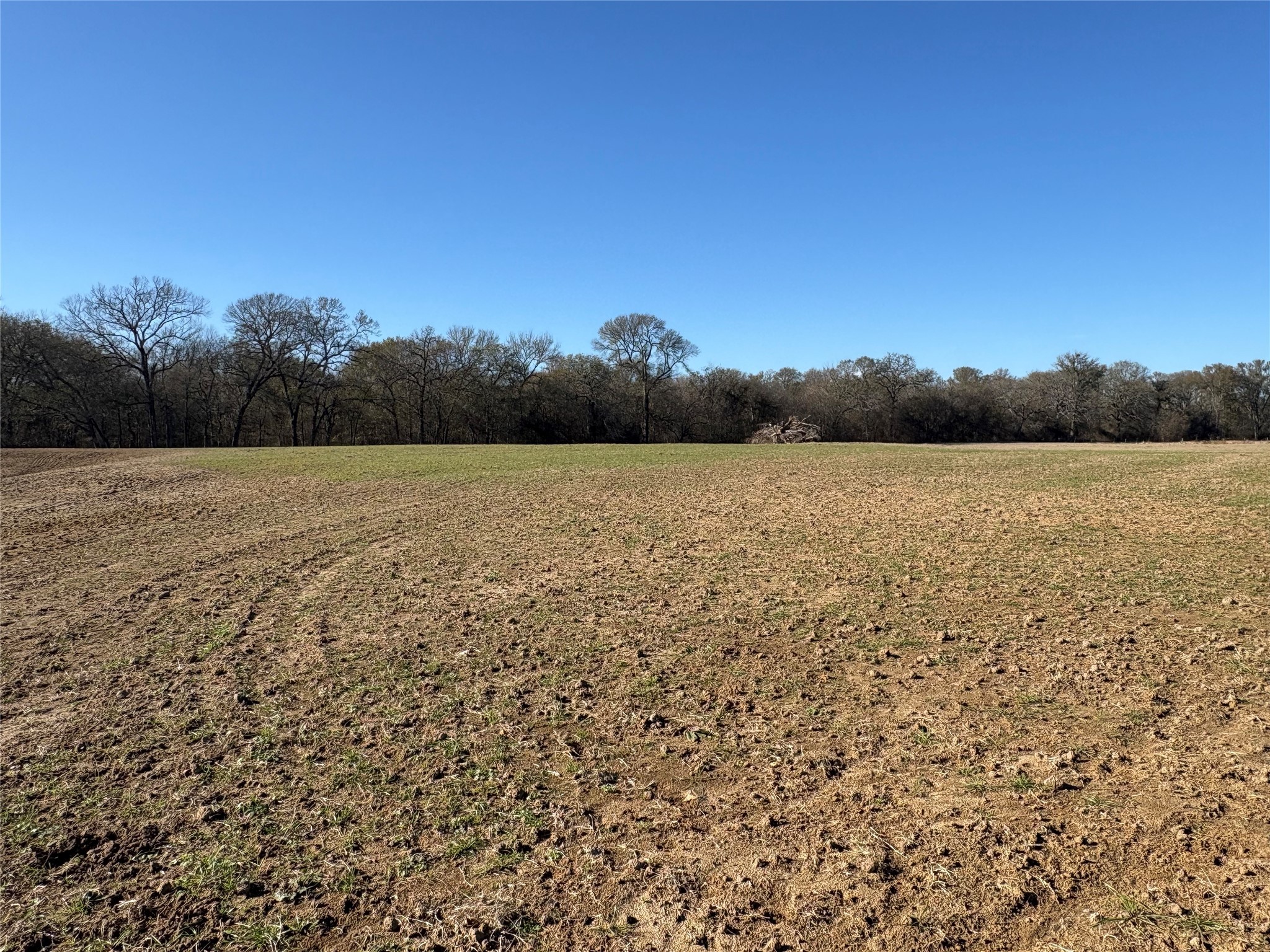 Tbd Cr 1148 Cumby TX 75433