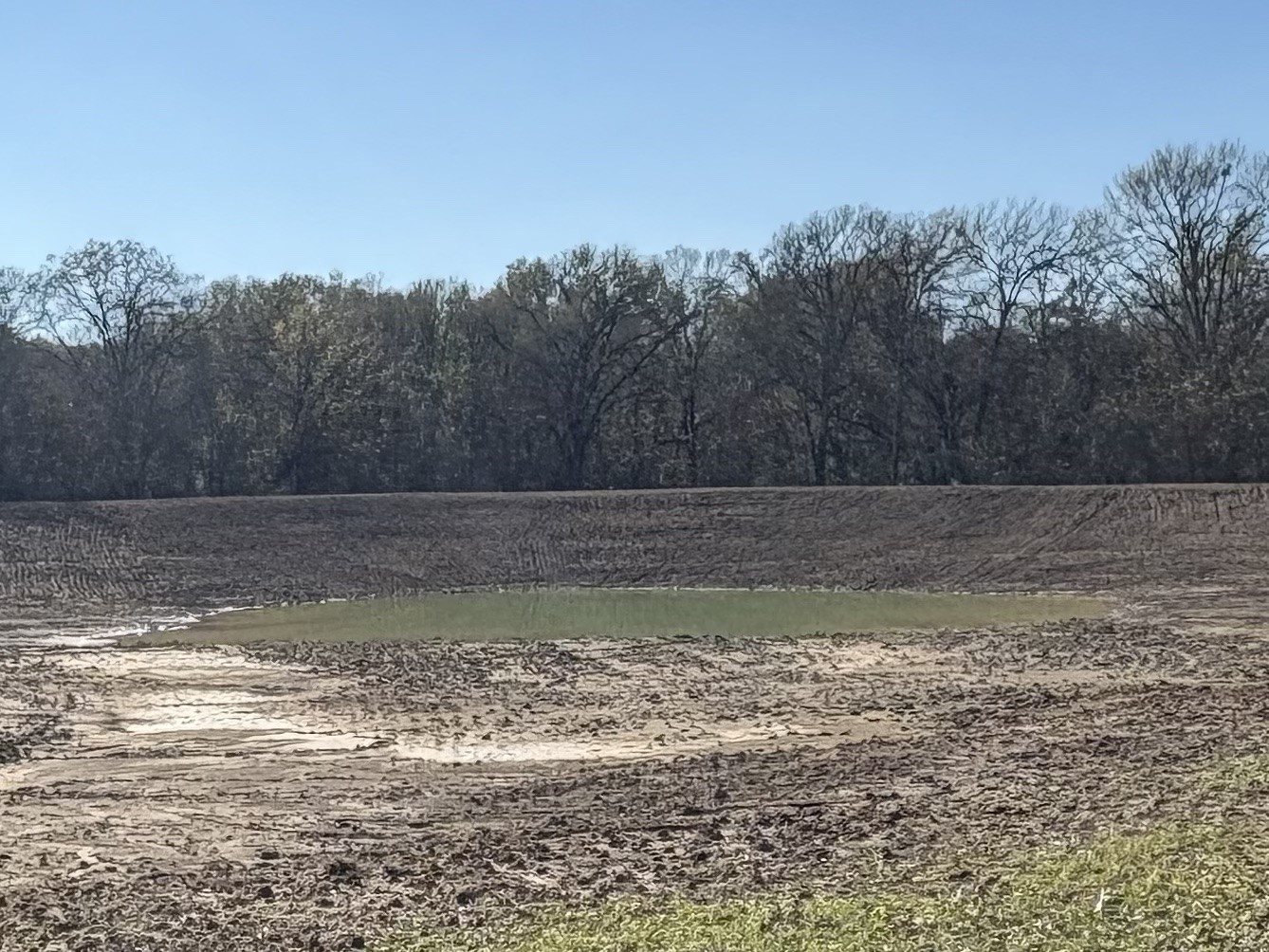 Tbd Cr 1148 Cumby TX 75433