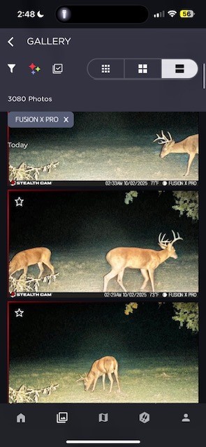 Tbd Cr 1148 Cumby TX 75433