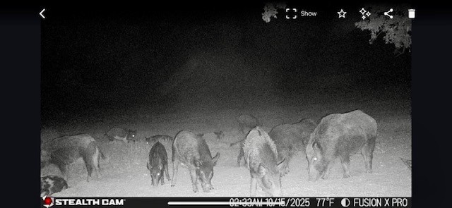 Tbd Cr 1148 Cumby TX 75433