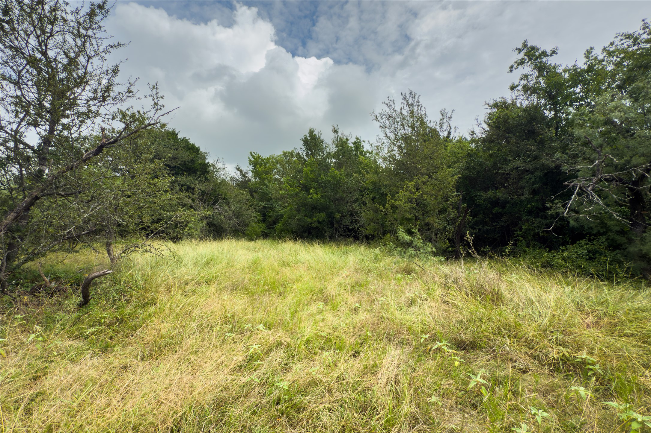 Lot 10 County Road 173 Marlin TX 76661