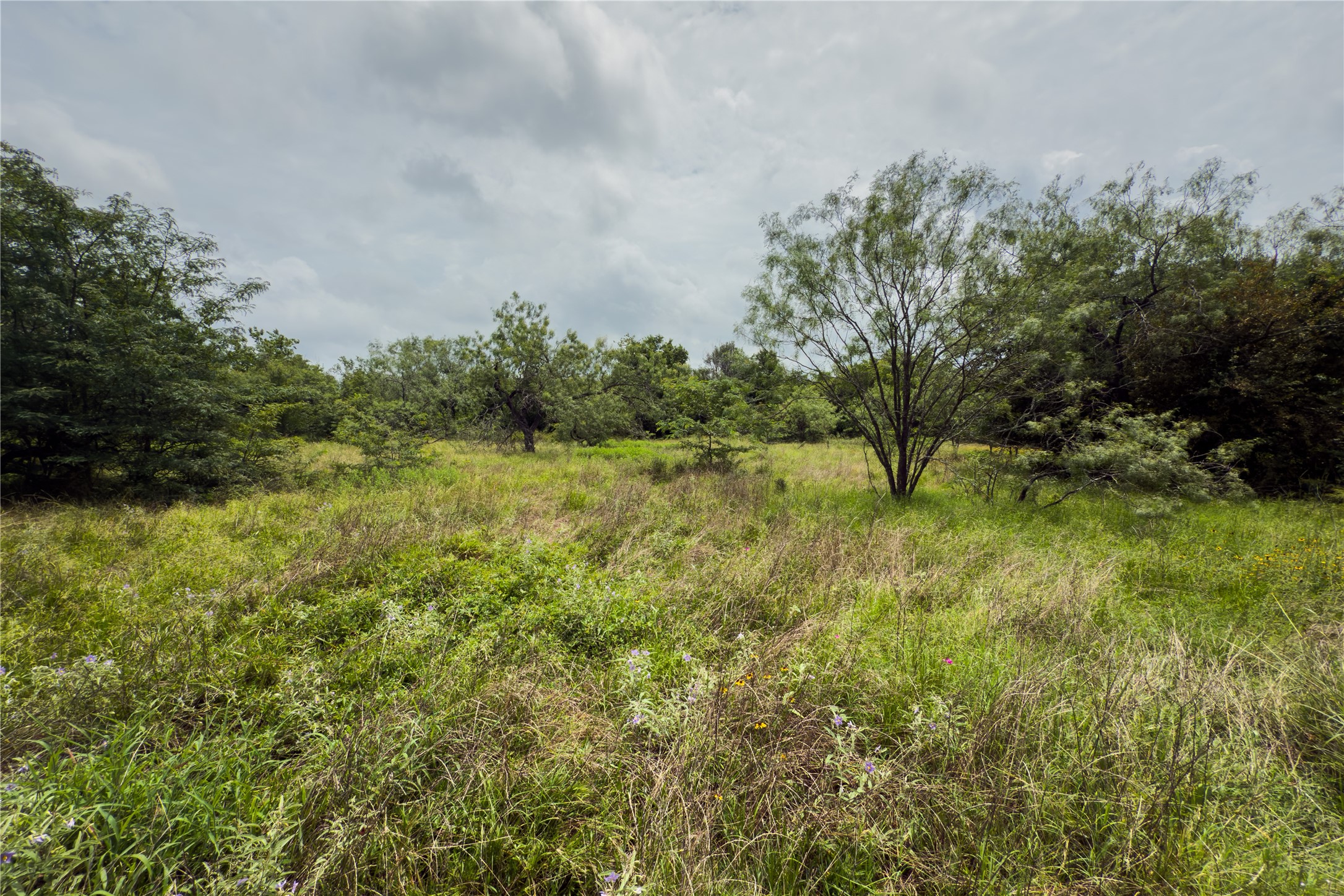 Lot 10 County Road 173 Marlin TX 76661