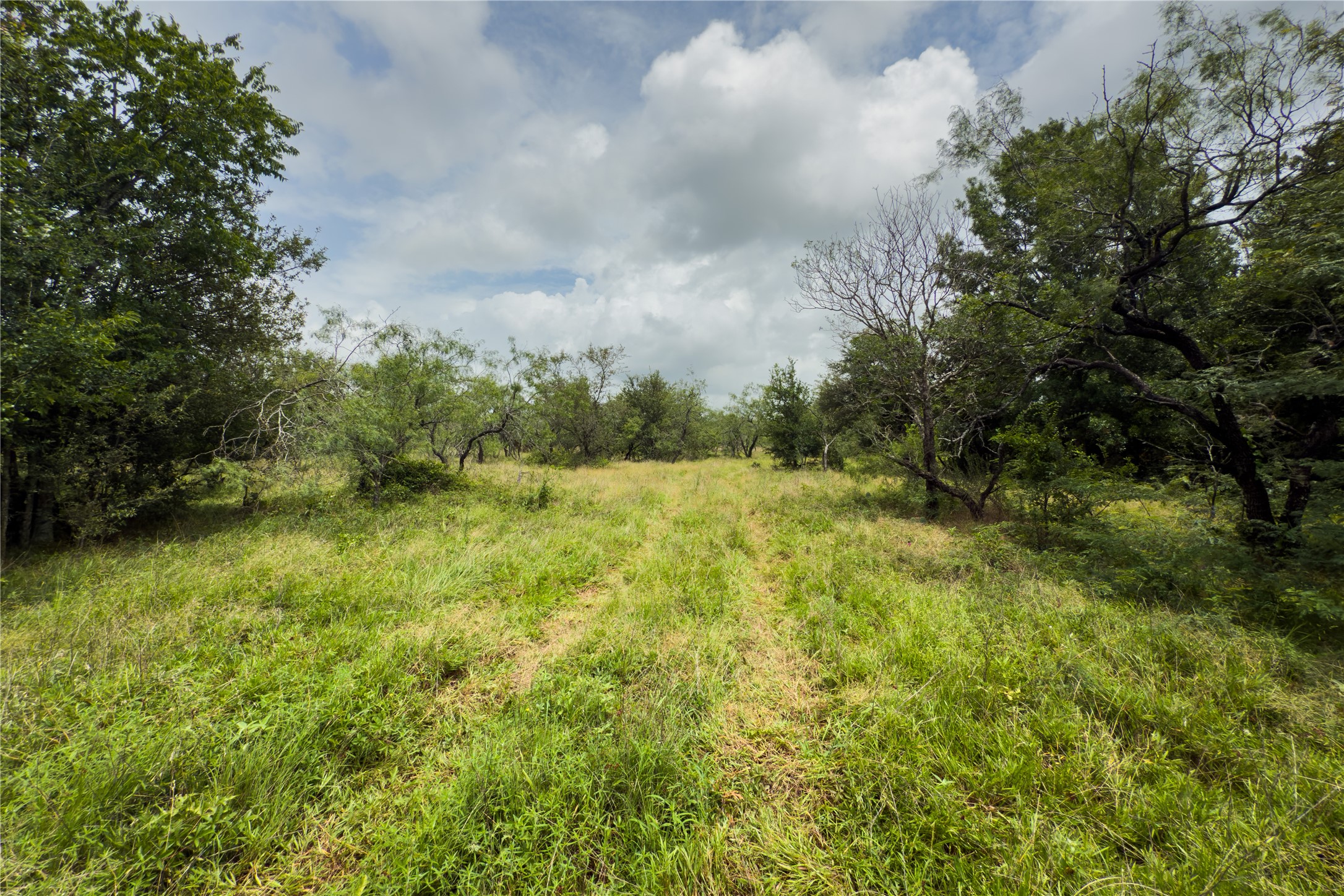 Lot 10 County Road 173 Marlin TX 76661