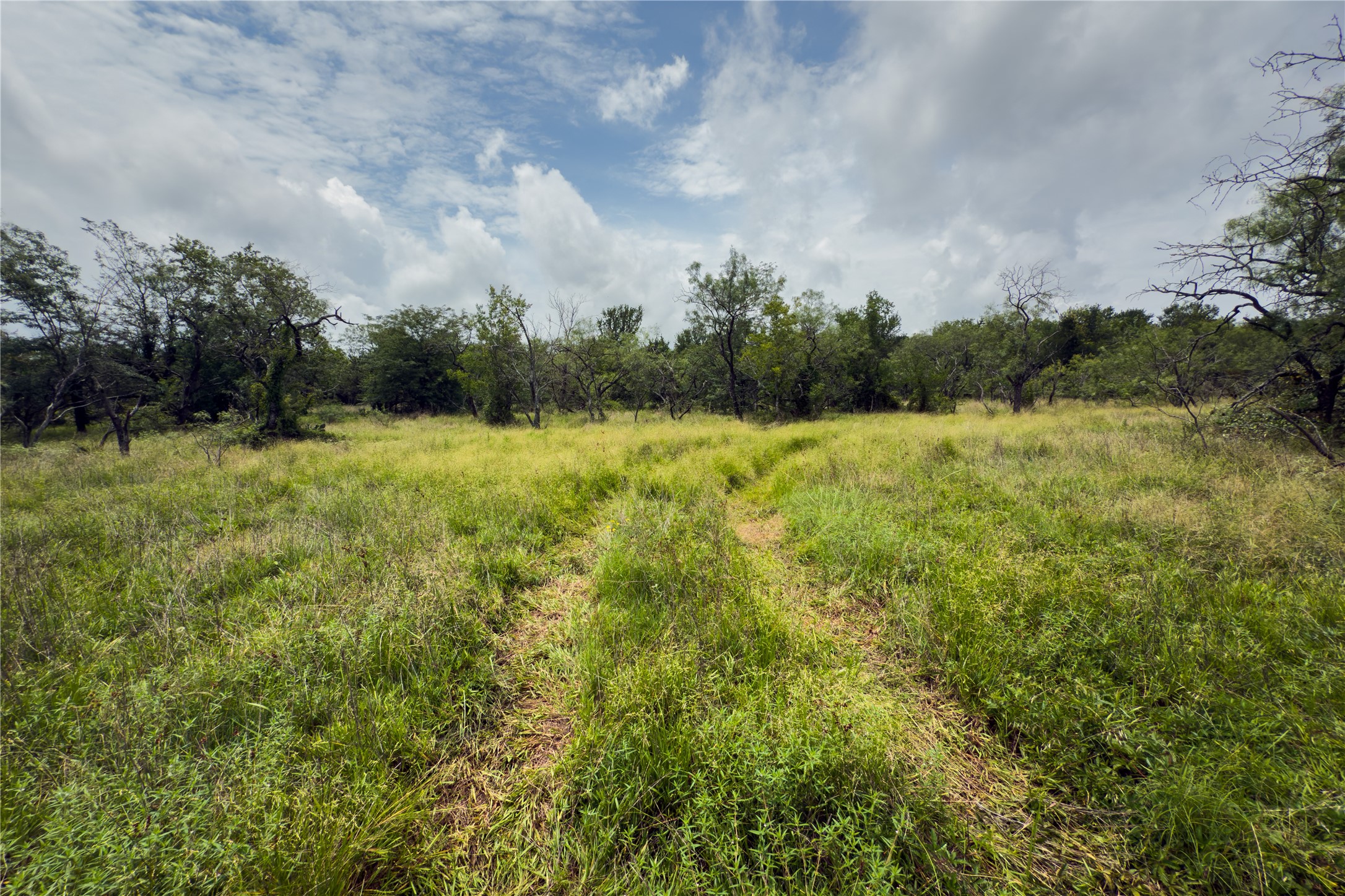 Lot 10 County Road 173 Marlin TX 76661