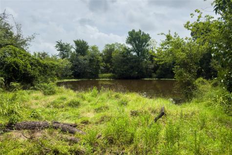 Lot 10 County Road 173 Marlin TX 76661
