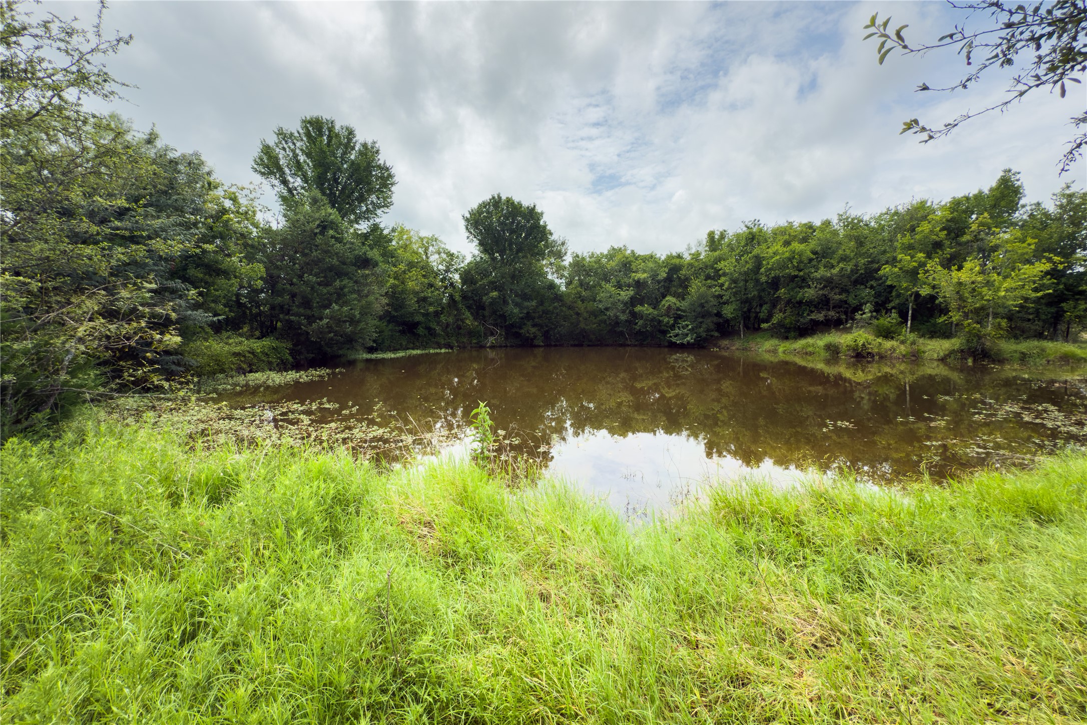 Lot 10 County Road 173 Marlin TX 76661