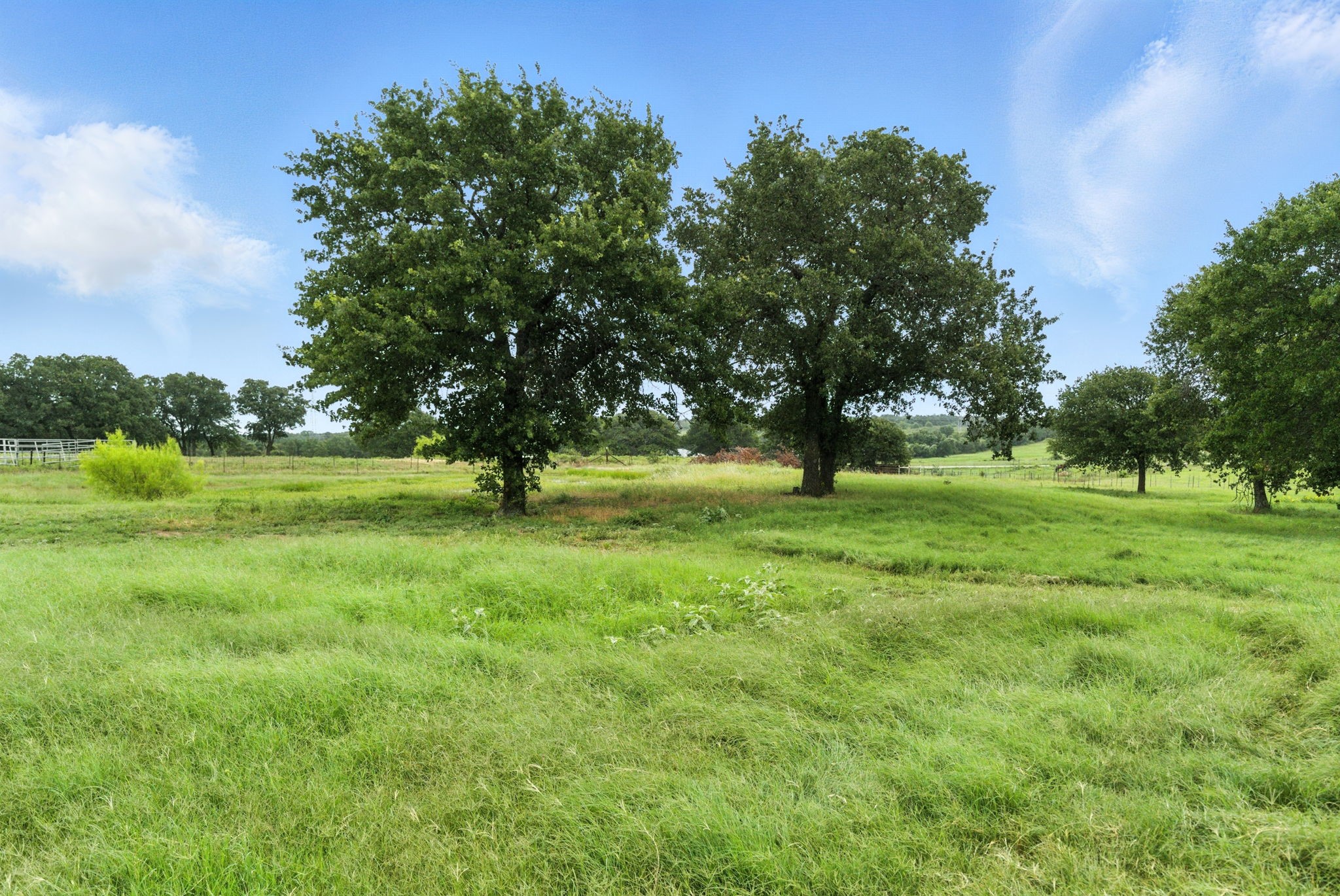 0 Division Lane Poolville TX 76487