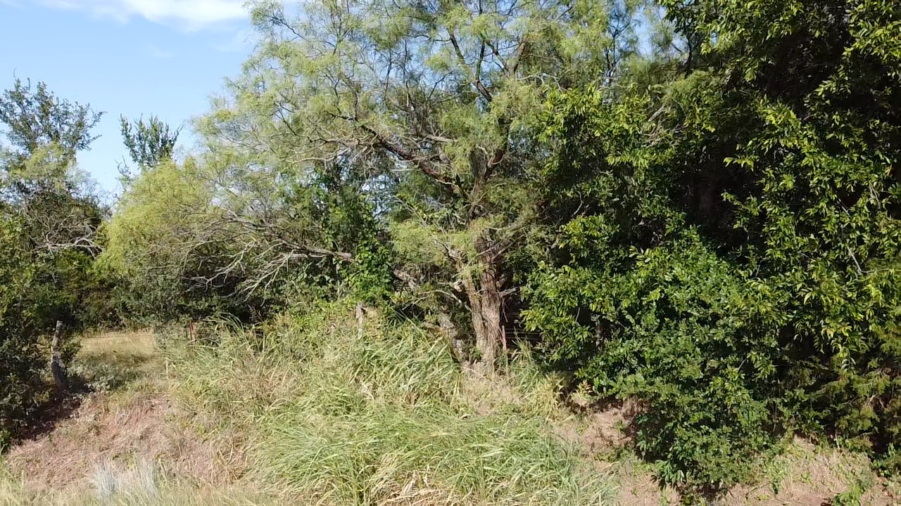 Tbd Ballew Springs Road Weatherford TX 76088
