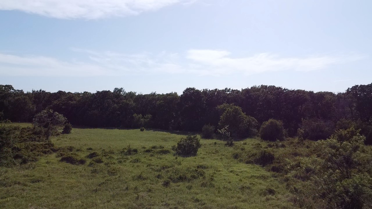 Tbd Ballew Springs Road Weatherford TX 76088