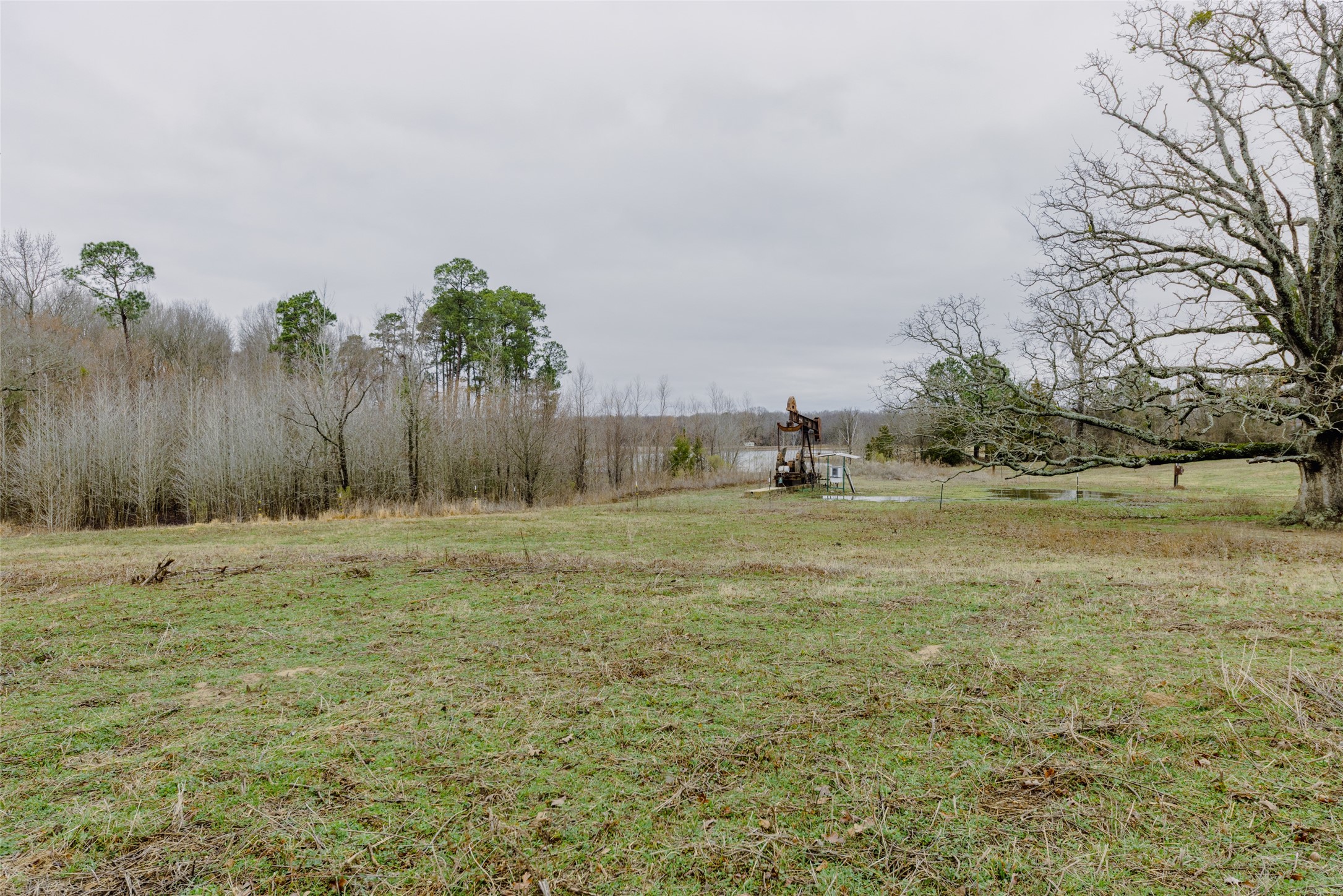Tbd County Road 4930 Quitman TX 75783