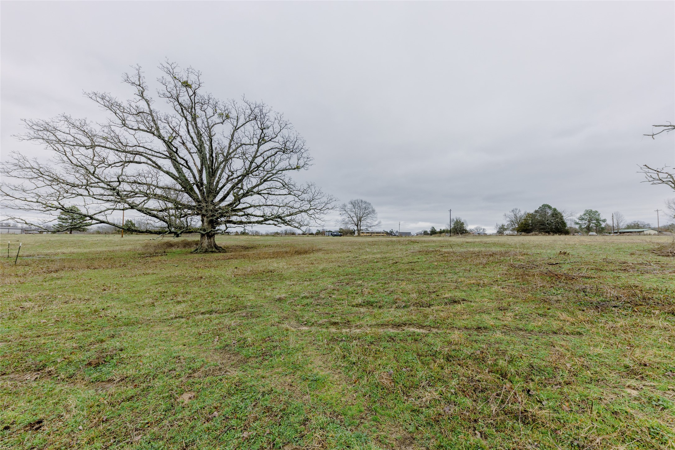 Tbd County Road 4930 Quitman TX 75783