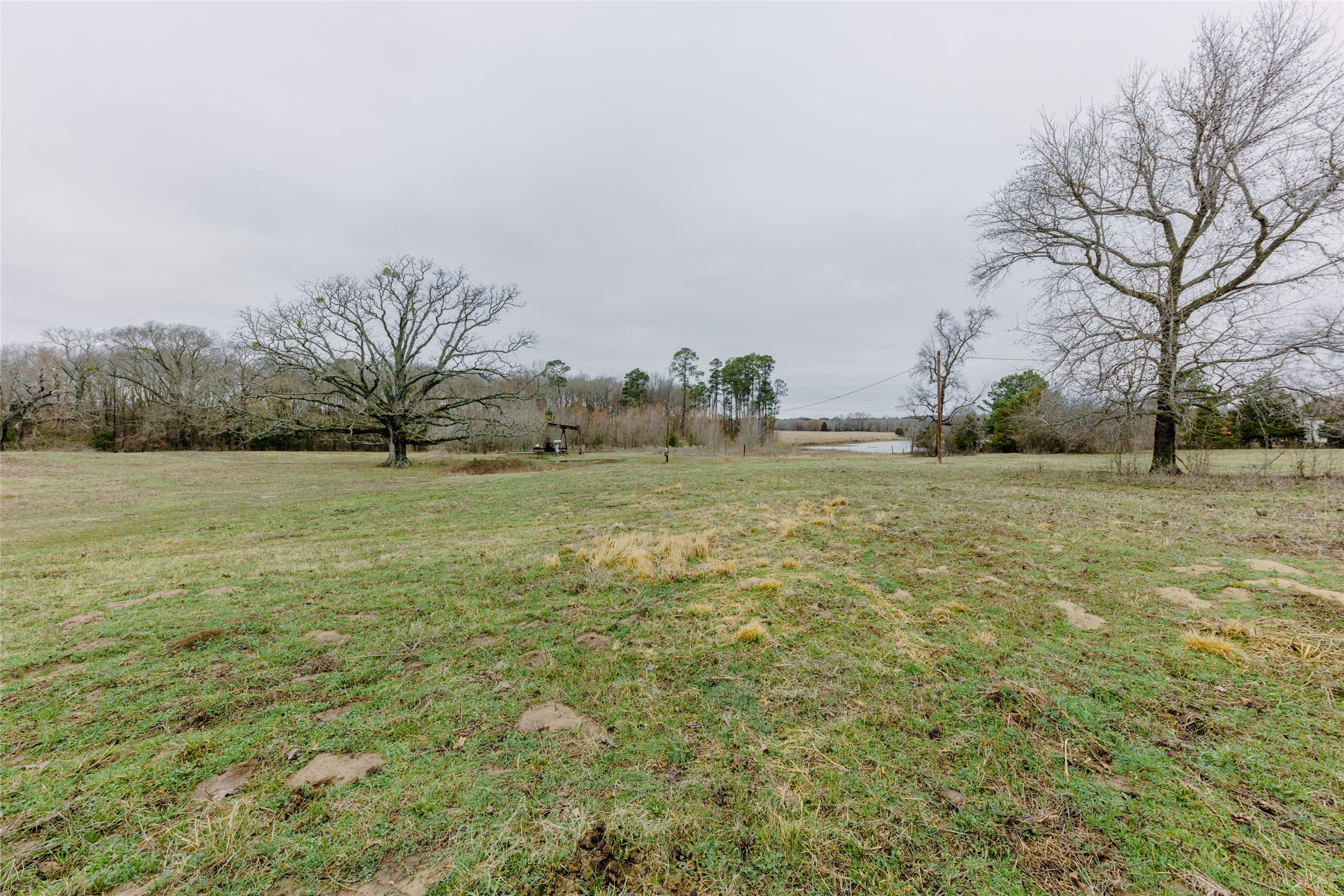 Tbd County Road 4930 Quitman TX 75783