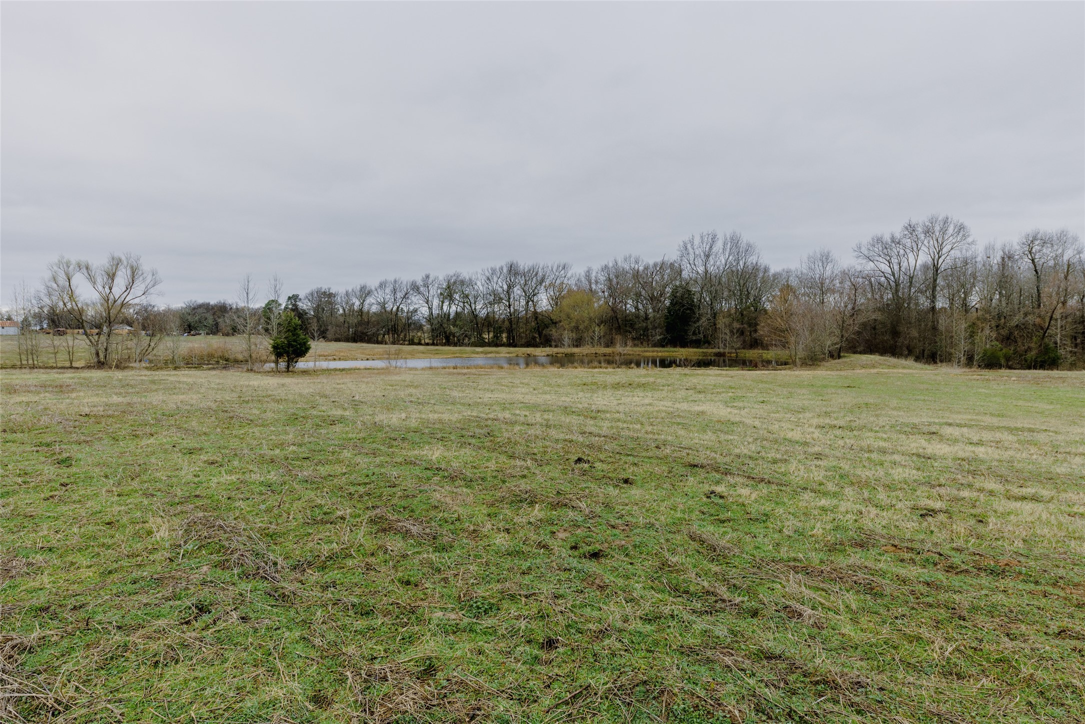 Tbd County Road 4930 Quitman TX 75783