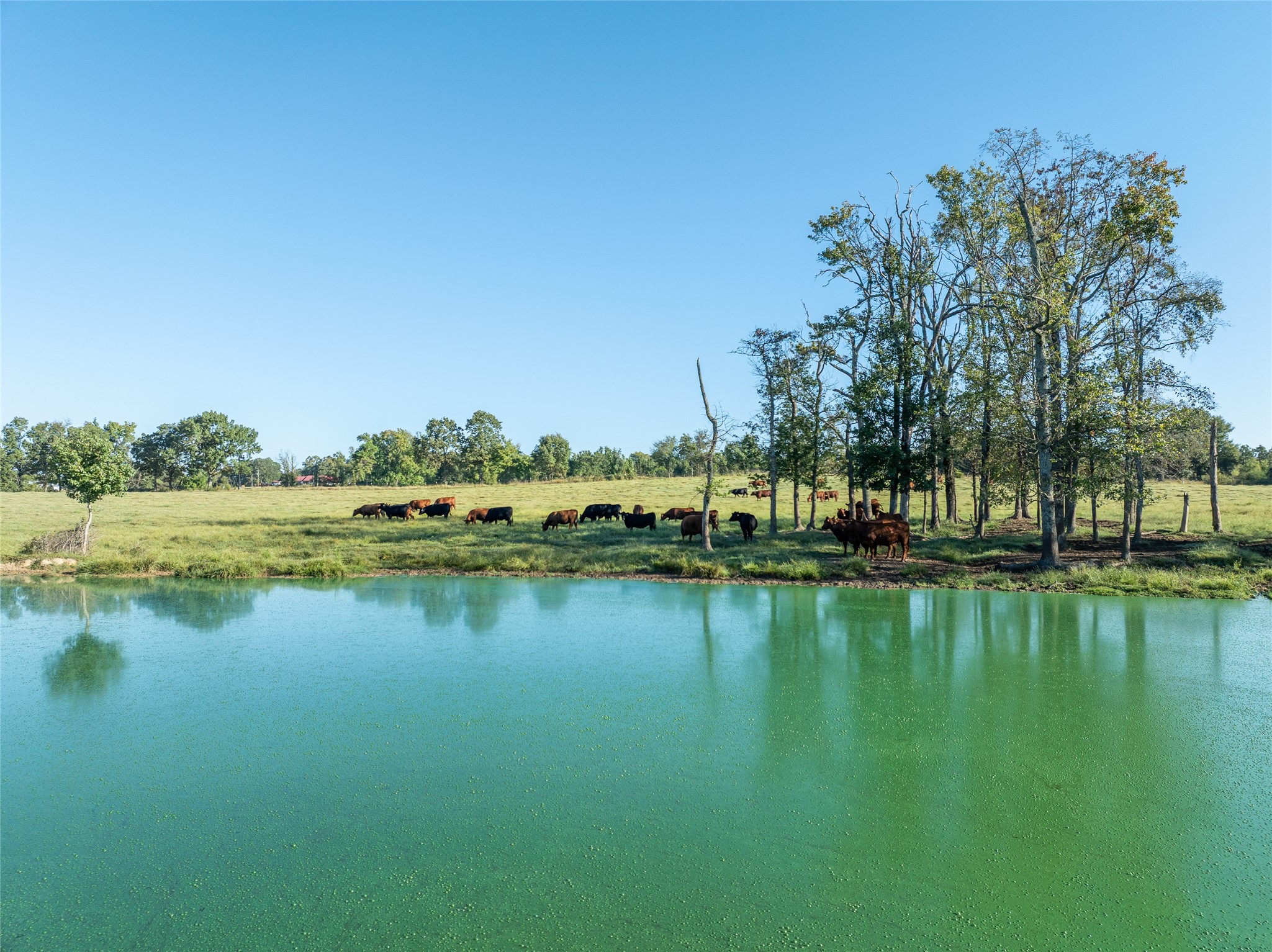 2661 Holly Creek Road Broken Bow OK 74728