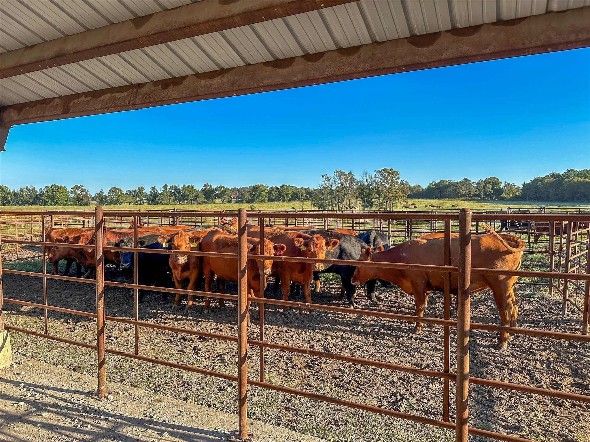 2661 Holly Creek Road Broken Bow OK 74728