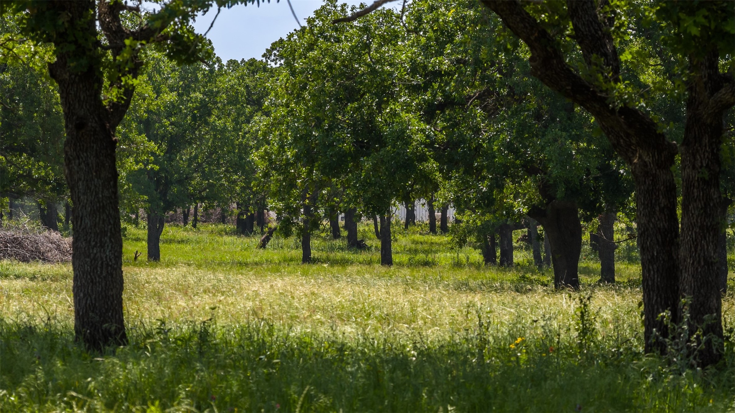 Tbd County Road 126 Gordon TX 76453