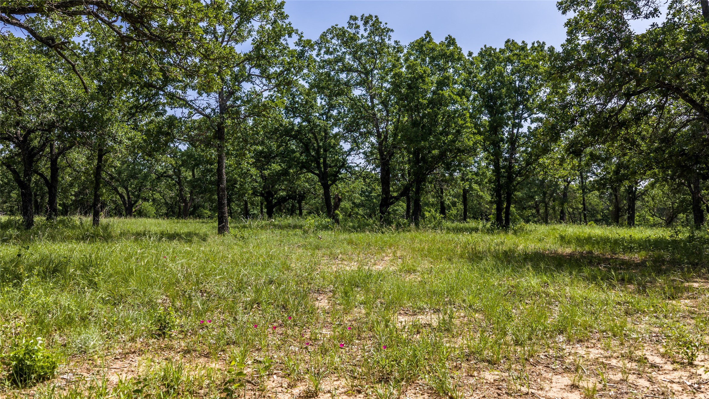 Tbd County Road 126 Gordon TX 76453