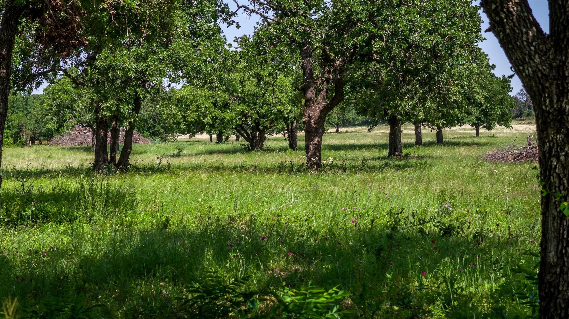 Tbd County Road 126 Gordon TX 76453