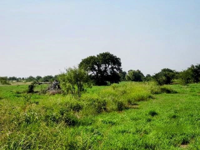 1718 Johnny Watson Road Whitesboro TX 76273