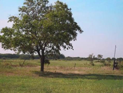 1718 Johnny Watson Road Whitesboro TX 76273