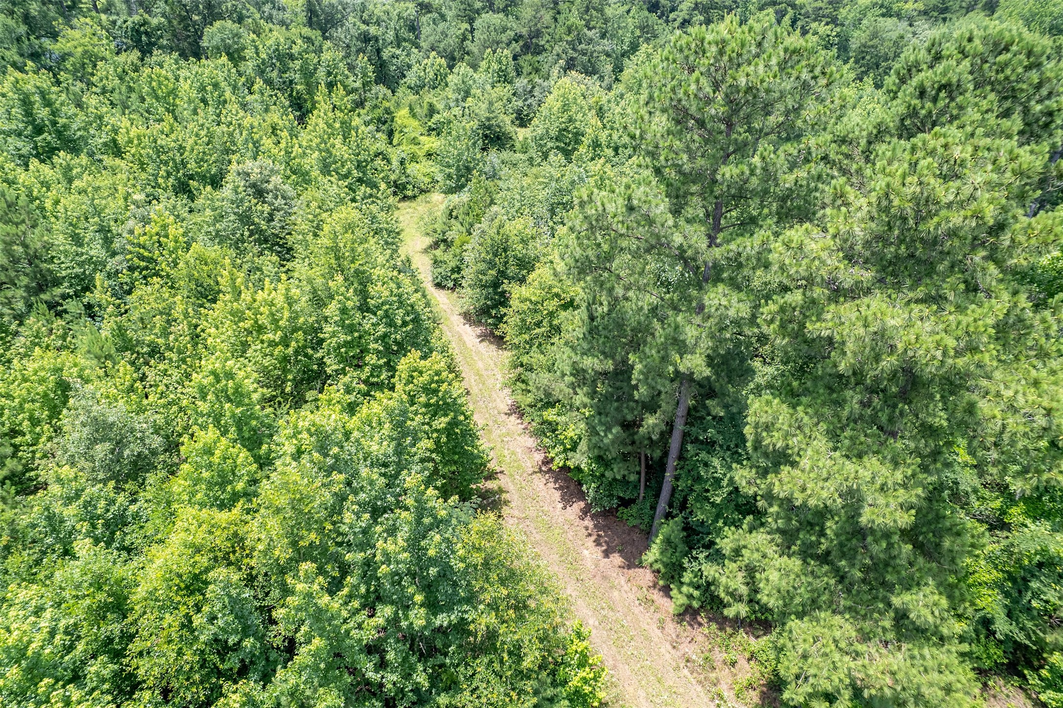 0 Cr 353 Tyler TX 75708