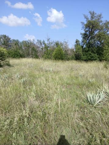 Lot 6 County Road 601 Brownwood TX 76801