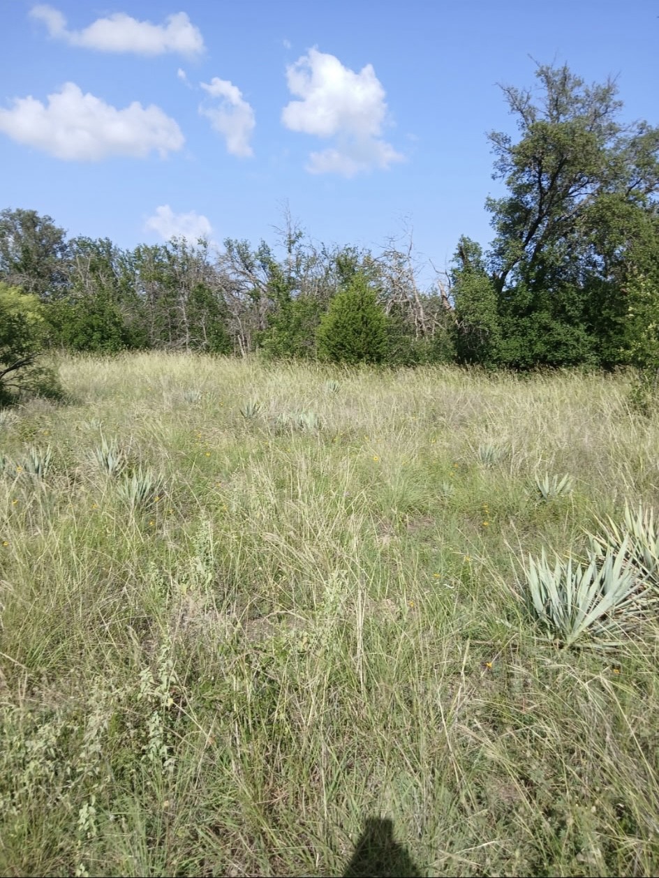 Lot 6 County Road 601 Brownwood TX 76801