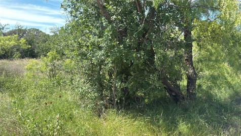 Lot 6 County Road 601 Brownwood TX 76801