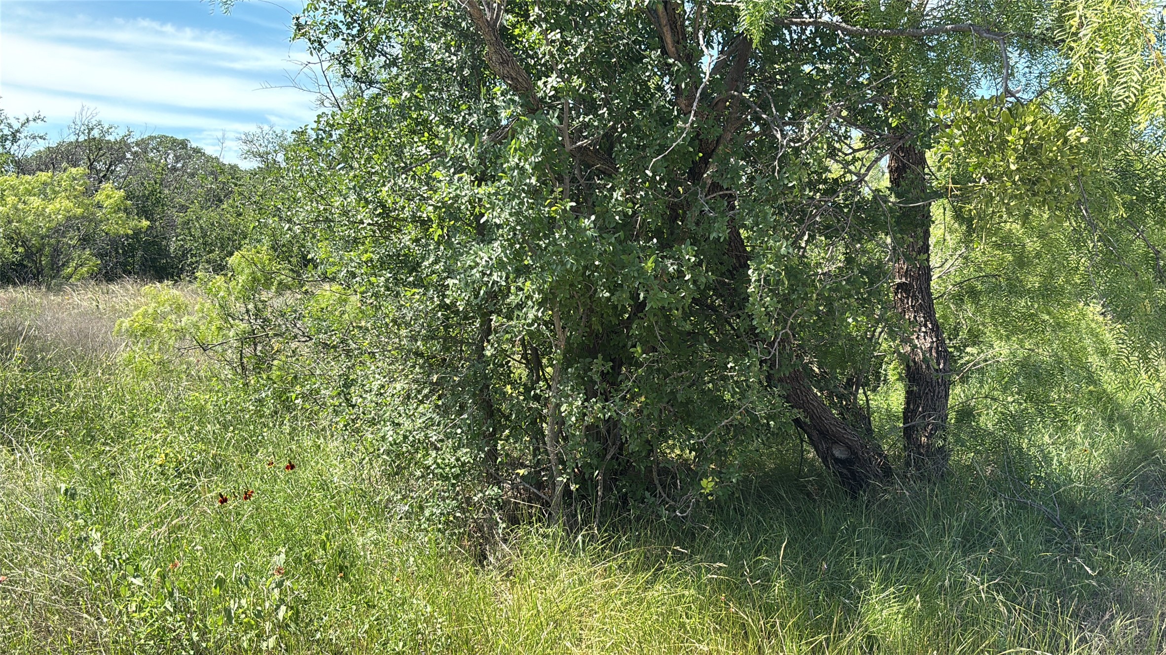 Lot 6 County Road 601 Brownwood TX 76801