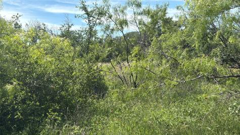 Lot 6 County Road 601 Brownwood TX 76801