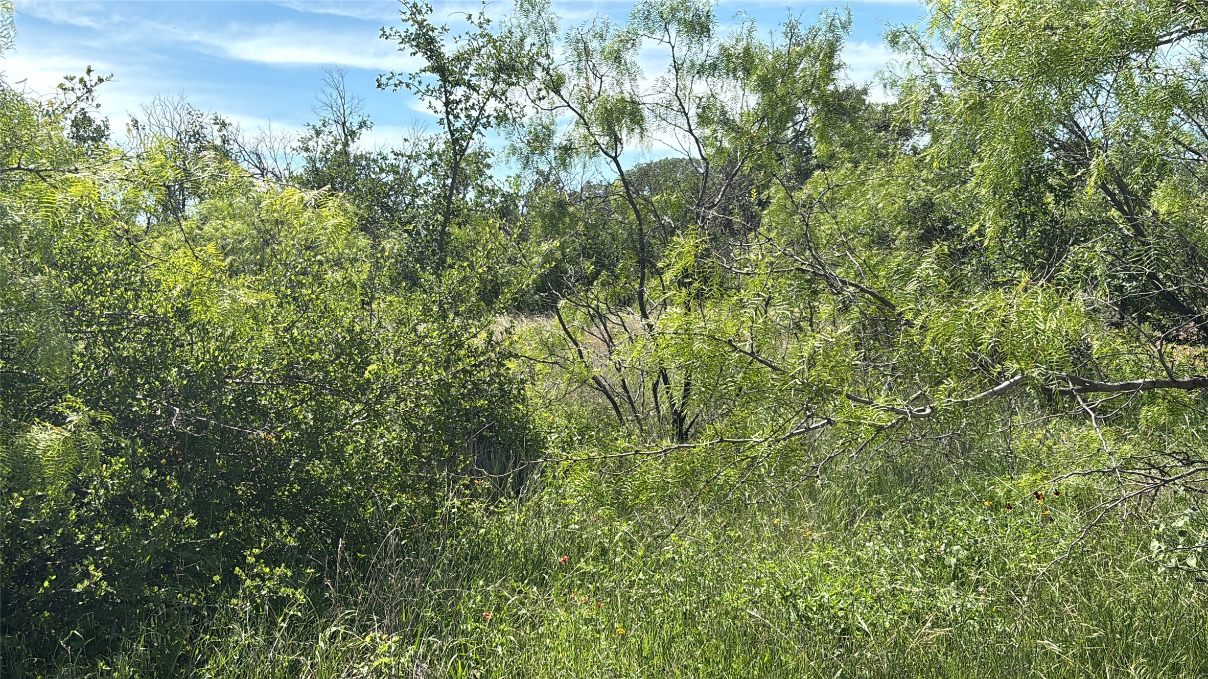 Lot 6 County Road 601 Brownwood TX 76801