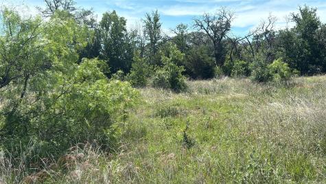 Lot 6 County Road 601 Brownwood TX 76801