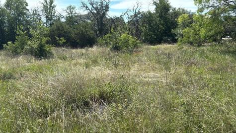 Lot 6 County Road 601 Brownwood TX 76801
