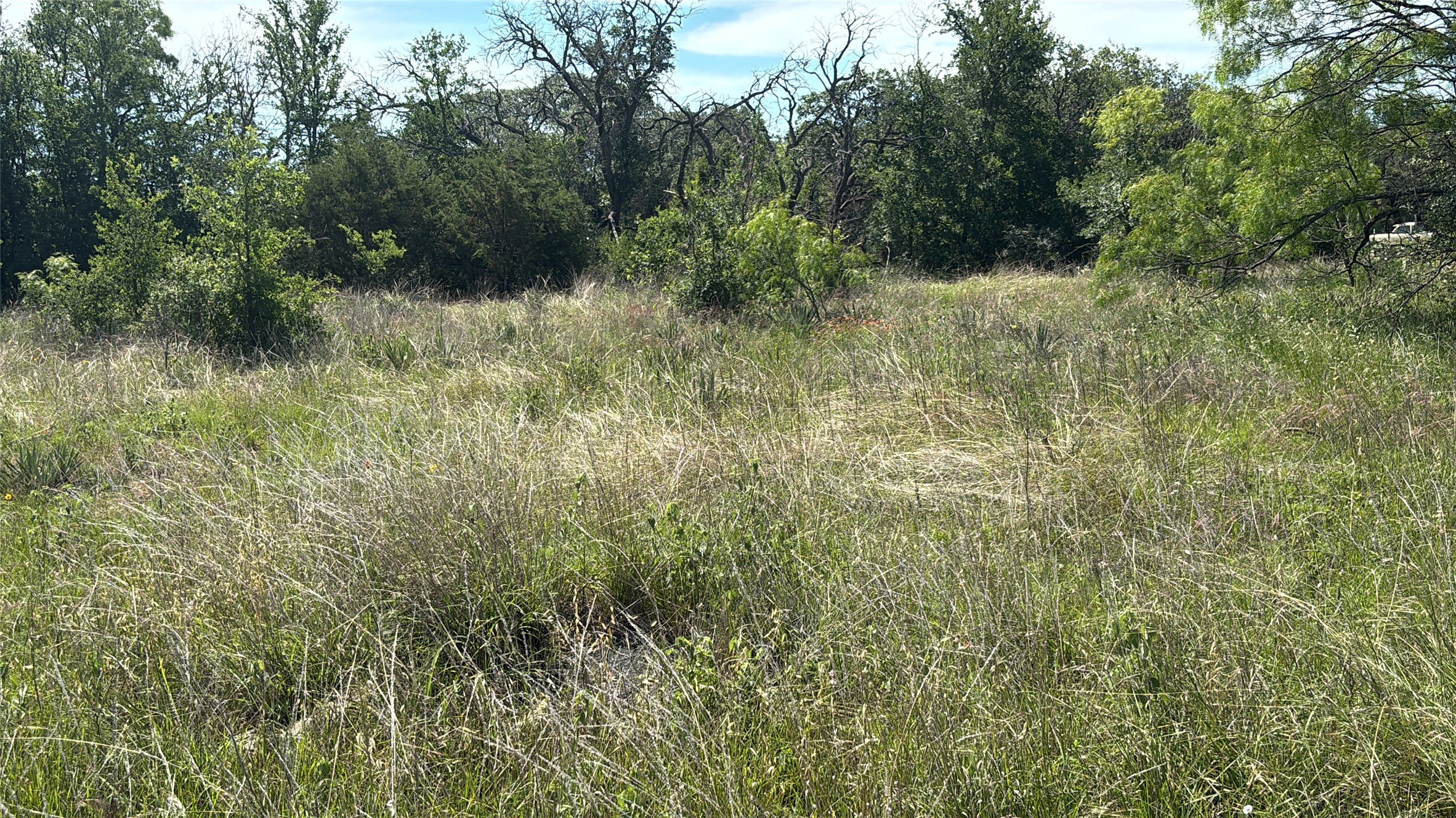 Lot 6 County Road 601 Brownwood TX 76801
