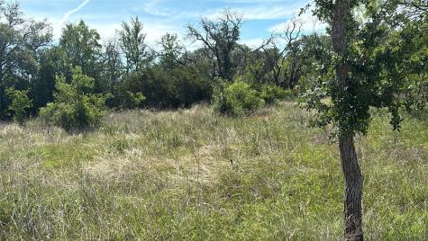 Lot 6 County Road 601 Brownwood TX 76801
