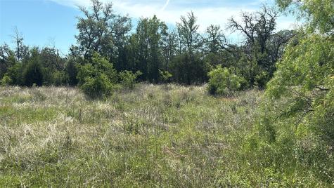 Lot 6 County Road 601 Brownwood TX 76801