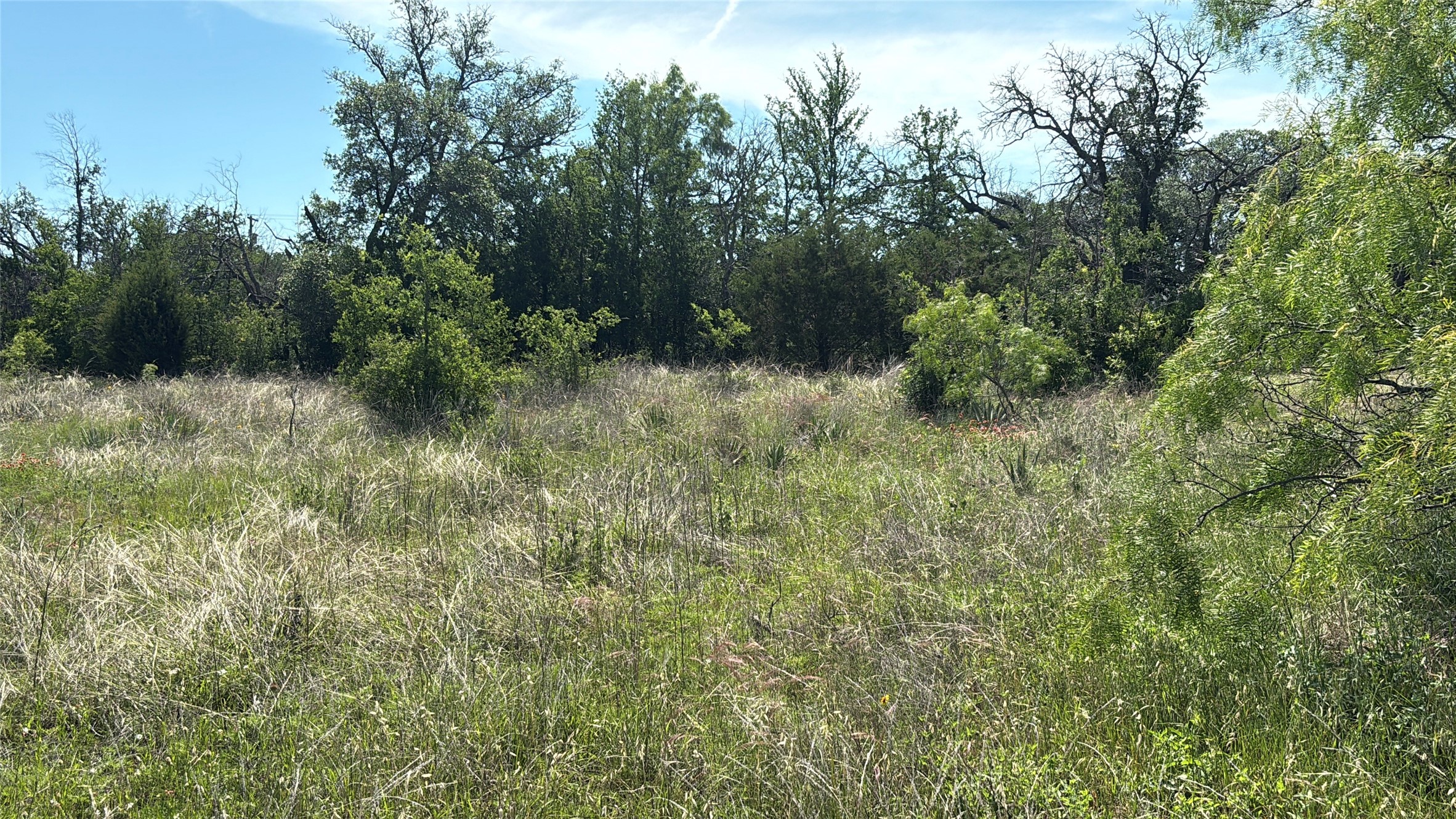 Lot 6 County Road 601 Brownwood TX 76801