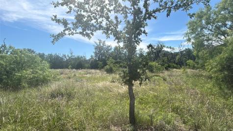 Lot 6 County Road 601 Brownwood TX 76801