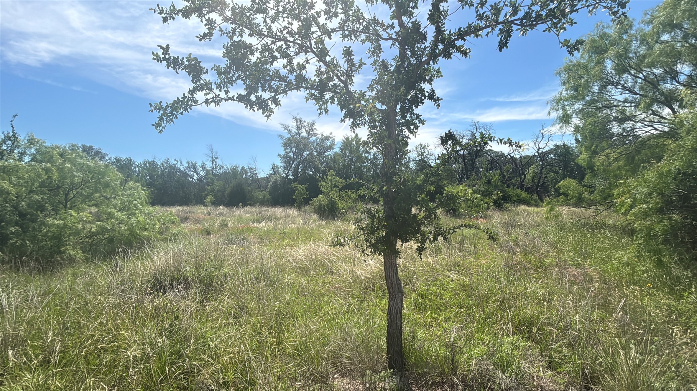 Lot 6 County Road 601 Brownwood TX 76801