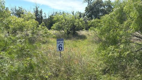 Lot 6 County Road 601 Brownwood TX 76801